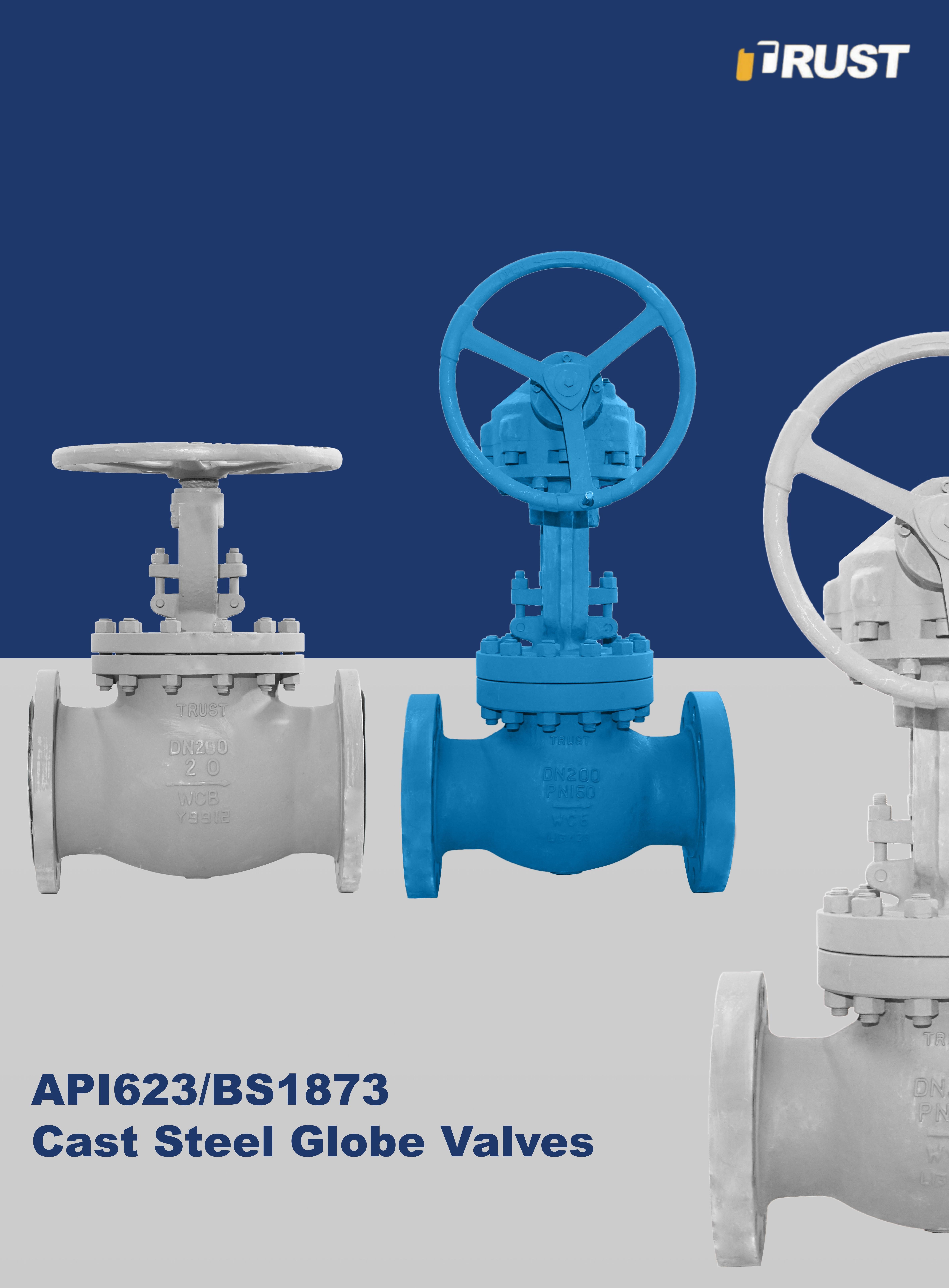 Globe Valve